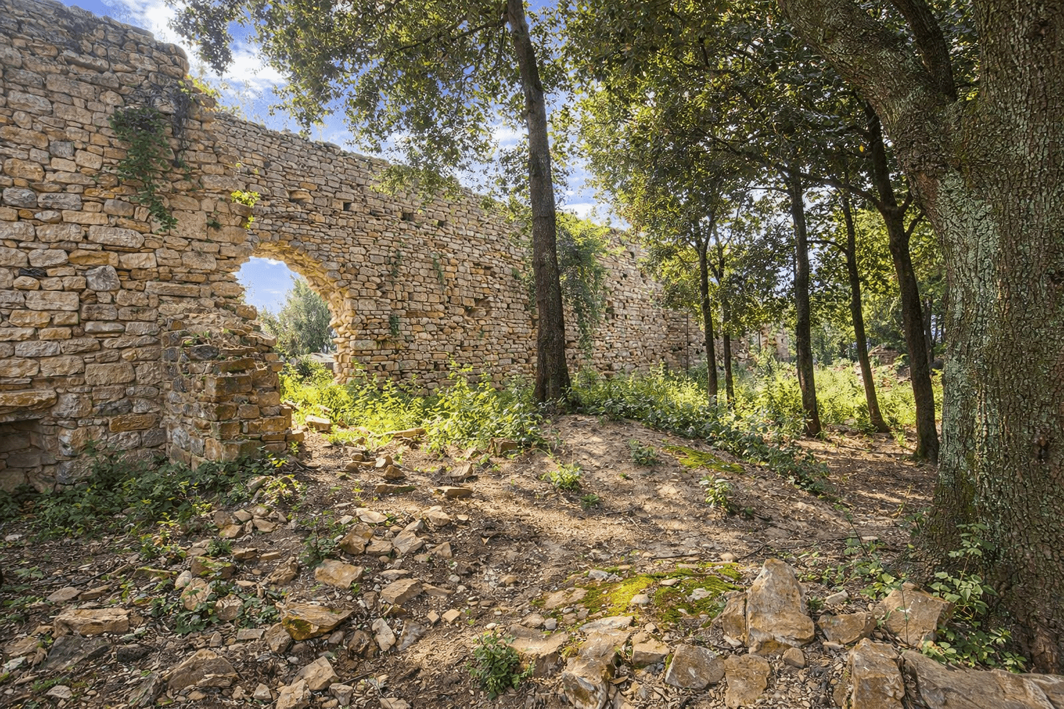 Badia di San Pietro in Palazzuolo