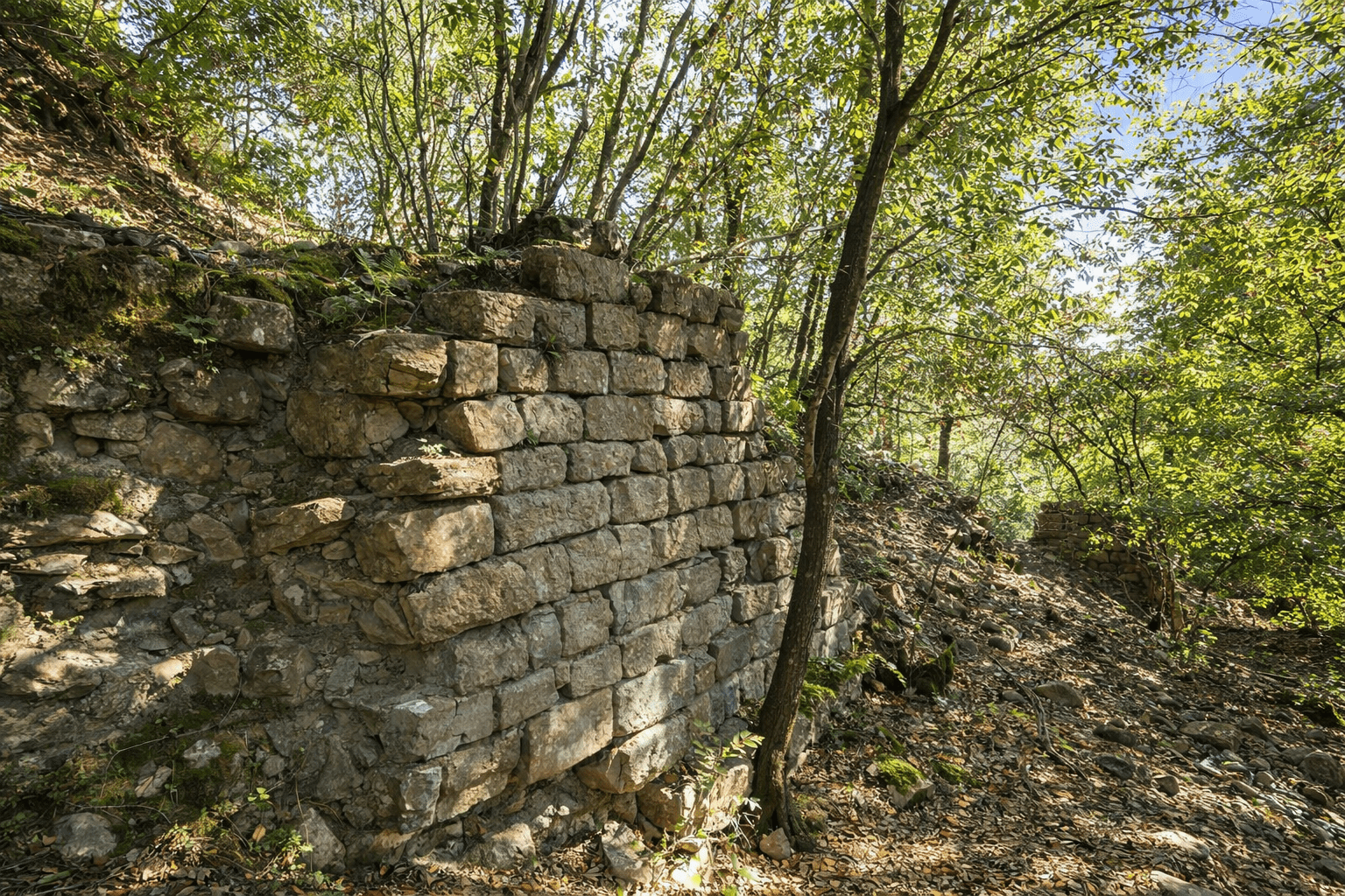 Castello dei Vescovi