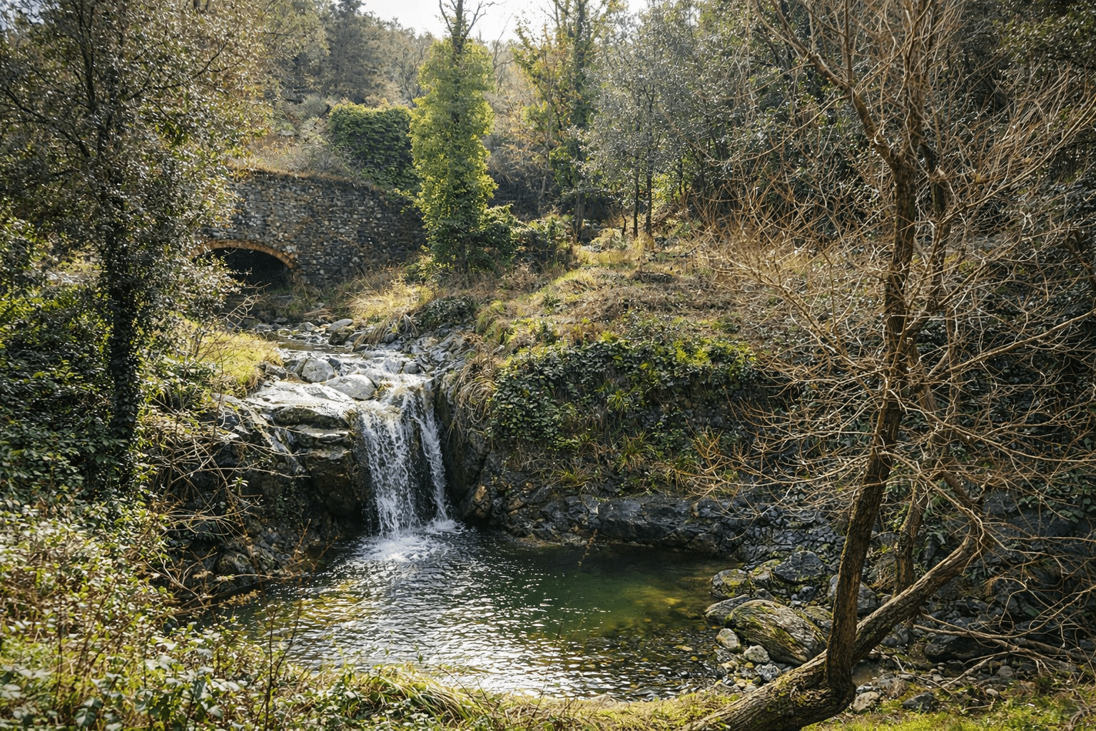 Terme di Spartaciano