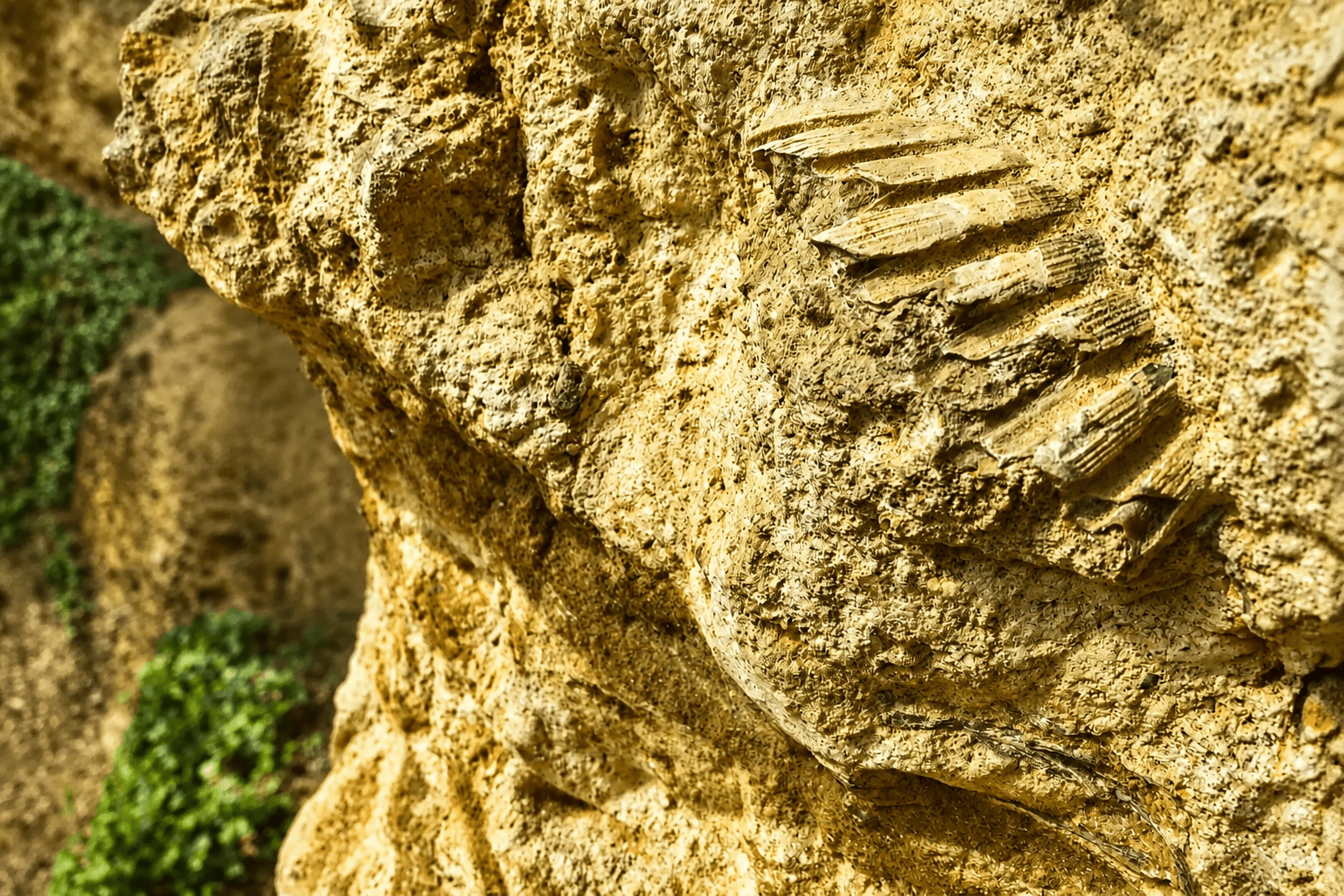 Grotte di Linaglia