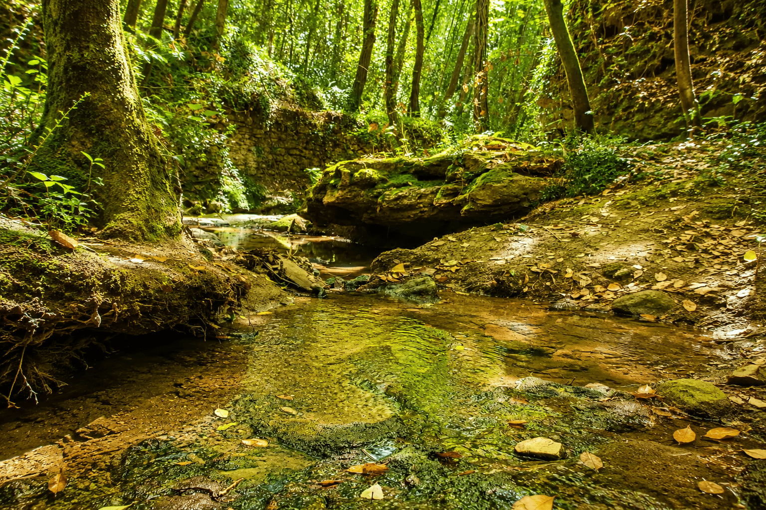 Grotte di Linaglia
