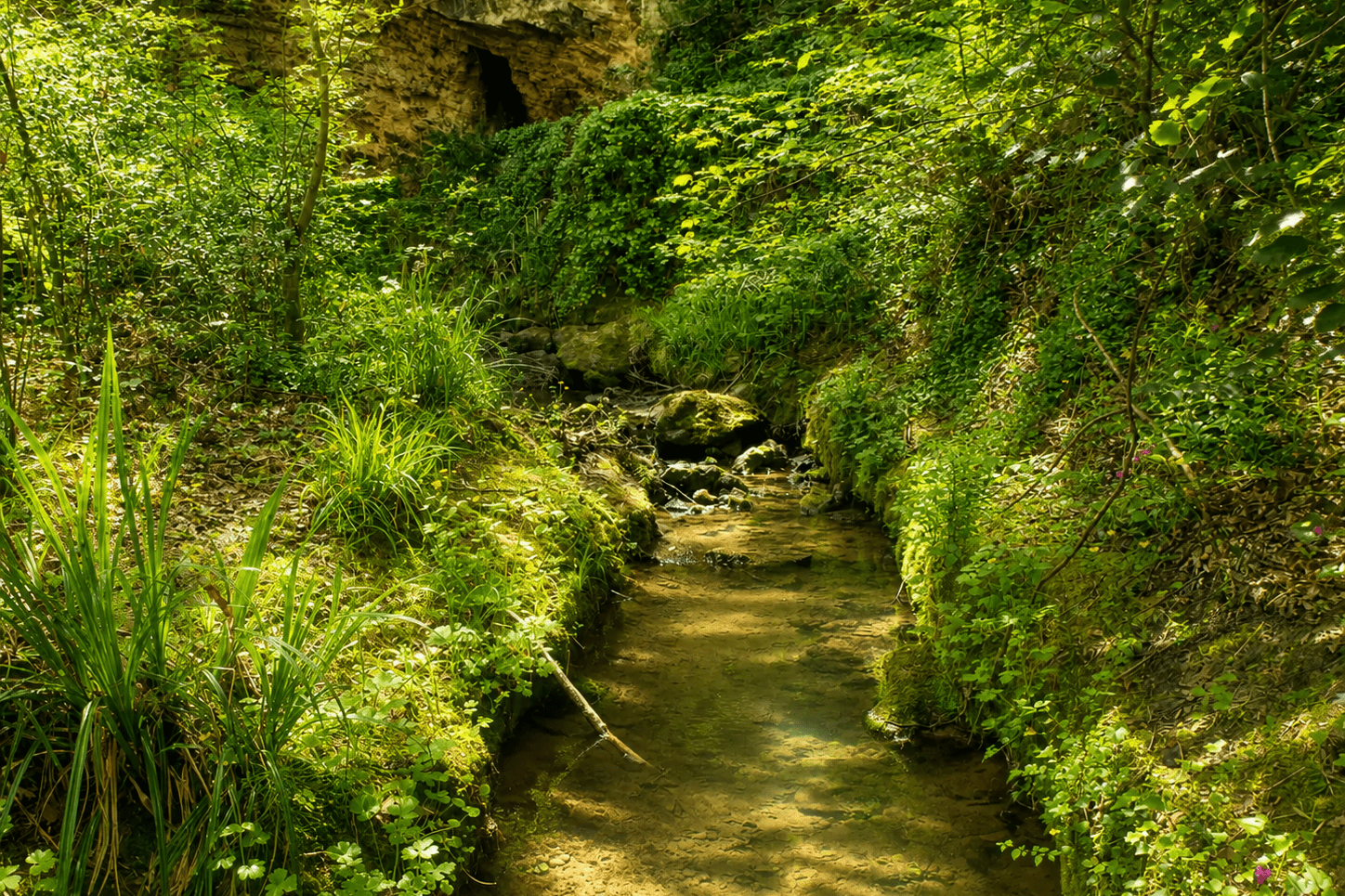 Grotte di Linaglia