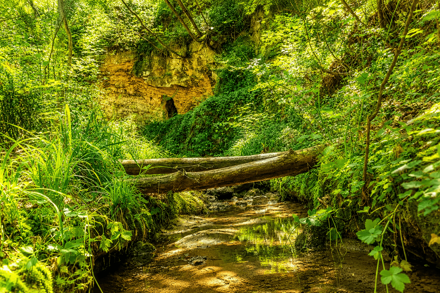 Grotte di Linaglia
