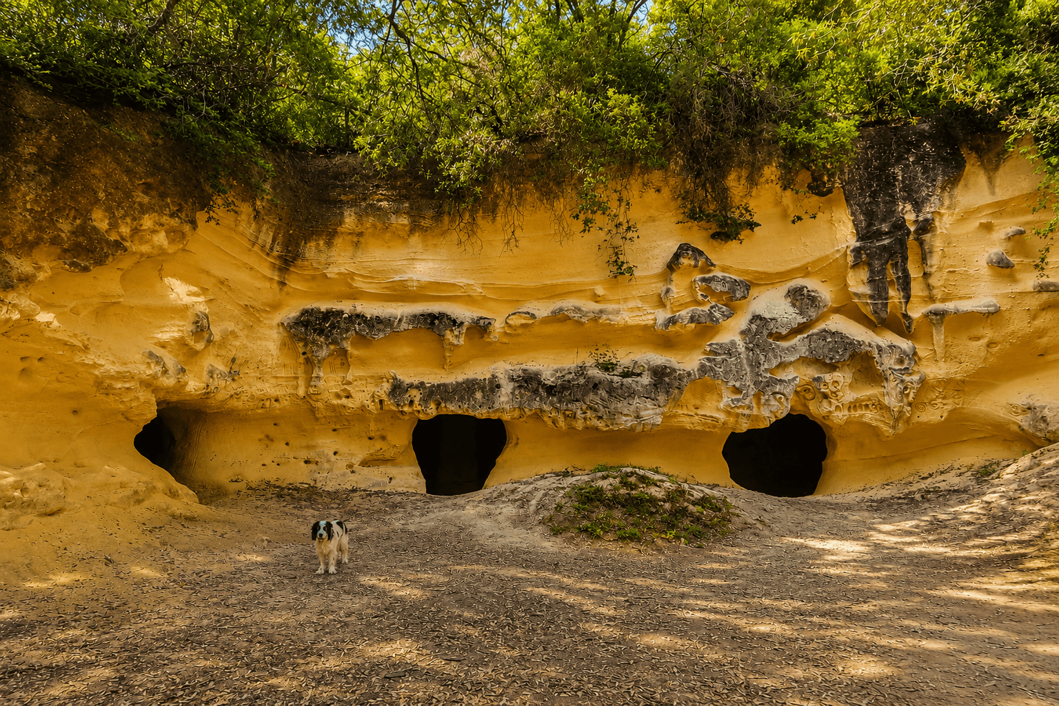 Grotte Gialle